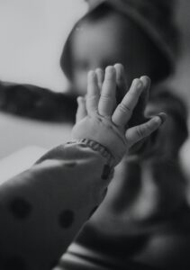 pexels-jessyka-marques-18545432